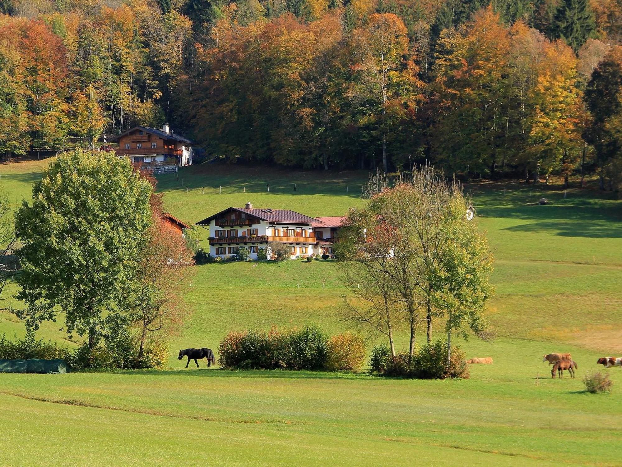 Obergoebllehen Leilighet Schönau am Königssee Eksteriør bilde